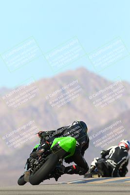 media/Jan-13-2024-SoCal Trackdays (Sat) [[9c032fe5aa]]/Turn 9 Backside (110pm)/